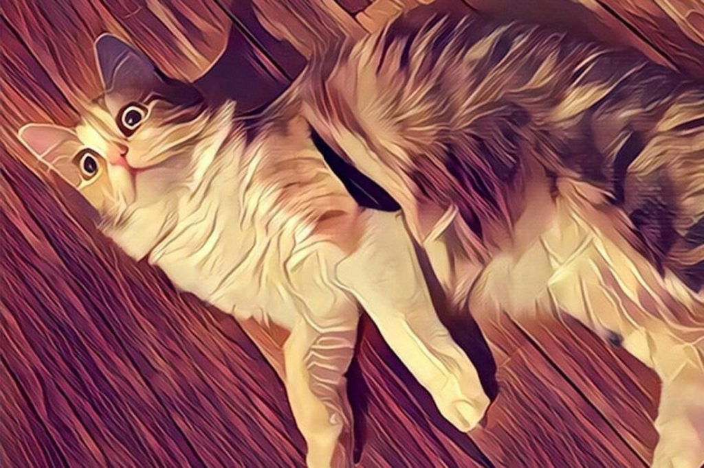 https://www.fandroid.com.pl/wp-content/uploads/2016/07/Prisma1-1024x682.jpg